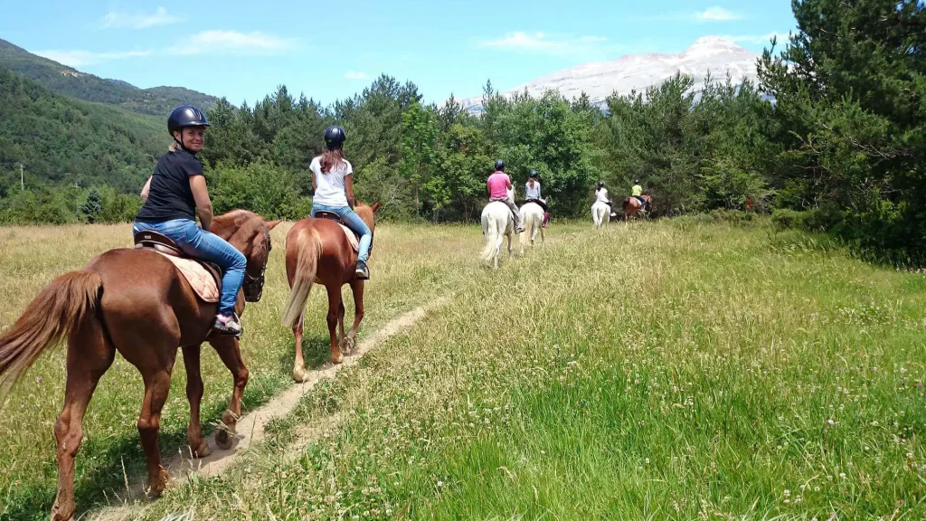 Paseos a caballo