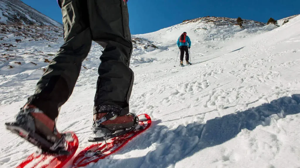 Paseo con raquetas de nieve